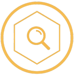 Auditor do Consumidor